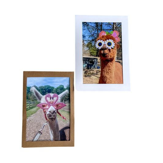 Farm Animal Greeting Cards